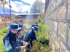 理塘县：铲除罂粟花 峻厉冲击毒品违法犯